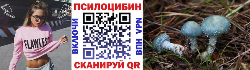 Псилоцибиновые грибы ЛСД  цена наркотик  Усолье-Сибирское 