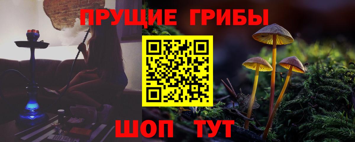 Усолье-Сибирское  Псилоцибиновые грибы ЛСД  Вход с VPN 